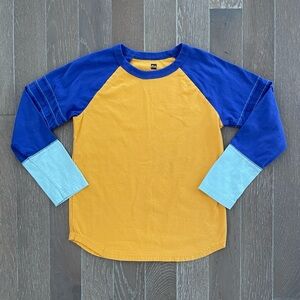 Tea Collection Explorer Colorblock Raglan Long Sleeve Top